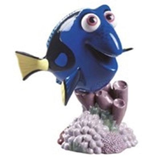Immagine di DORY