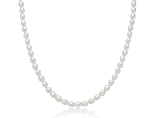 Immagine di COLLANA AG+PC L 40CM + CHIUSURA