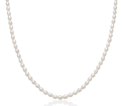 Immagine di COLLANA AG+PC L 40CM + CHIUSURA