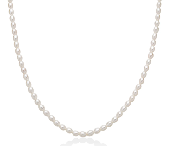 Immagine di COLLANA AG+PC L 40CM + CHIUSURA